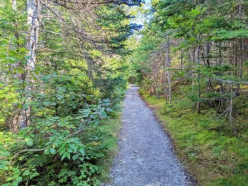 La Manche Provincial Park in Newfoundland 