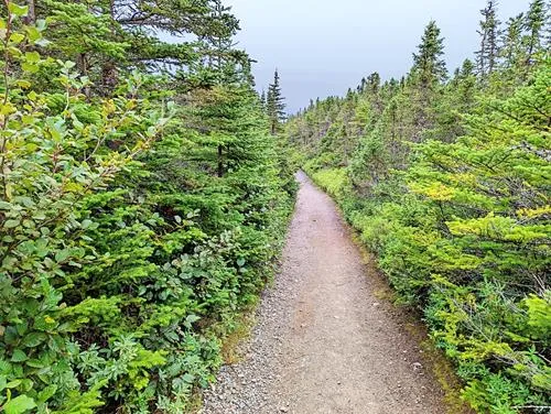 Skerwink trail in Newfoundland in Newfoundland 