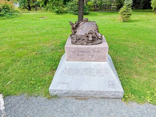 Linden Tree in Bowring Park in Newfoundland 