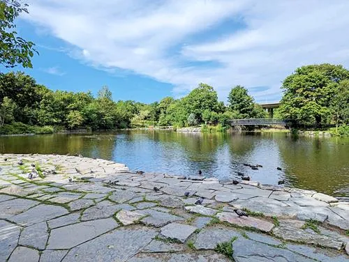 duck pond in Bowring Park in Newfoundland 