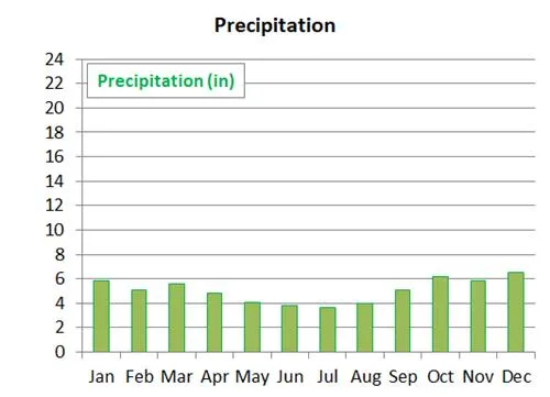 average precipitation by month in St. John's in Newfoundland 