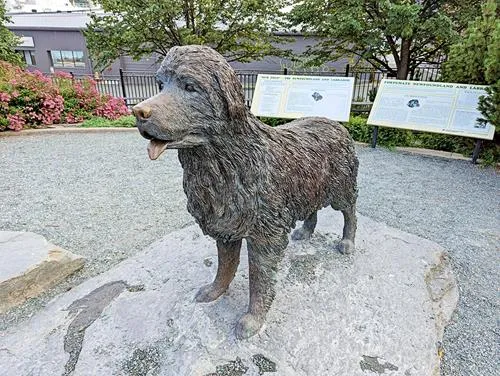 Harbourside Park in Newfoundland 