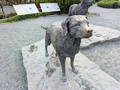 Harbourside Park in Newfoundland 