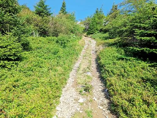 The Tolt in Witless Bay in Newfoundland 