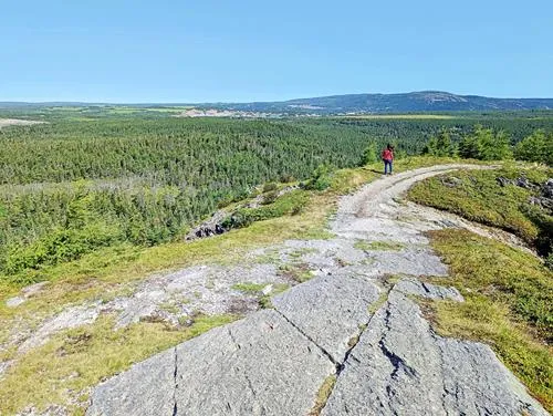 The Tolt in Witless Bay in Newfoundland 