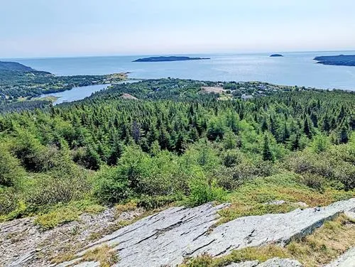 The Tolt in Witless Bay in Newfoundland 