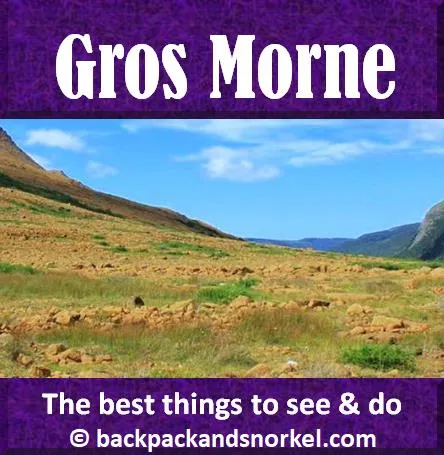 Backpack and Snorkel Travel Guide for Gros Morne National Park - Newfoundland, St. Pierre and Miquelon Purple Travel Guide