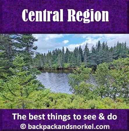 Backpack and Snorkel Travel Guide for Newfoundland's Central Region - Newfoundland, St. Pierre and Miquelon Purple Travel Guide