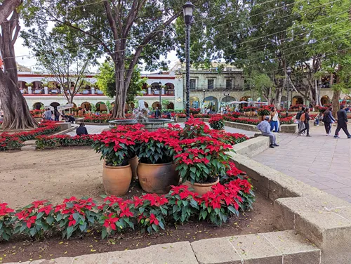 Zócalo (Plaza de la Constitución) in Oaxaca