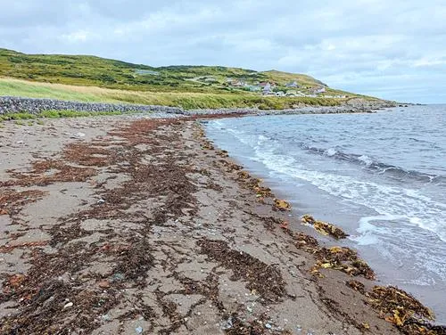 Beach in Miquelon in St. Pierre and Miquelon 