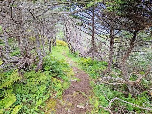 Le Cap de Miquelon in St. Pierre and Miquelon 