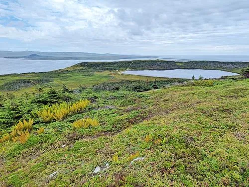 Le Cap de Miquelon in St. Pierre and Miquelon 