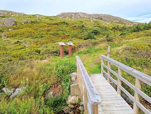 L'Anse-a-Henry in St. Pierre and Miquelon 