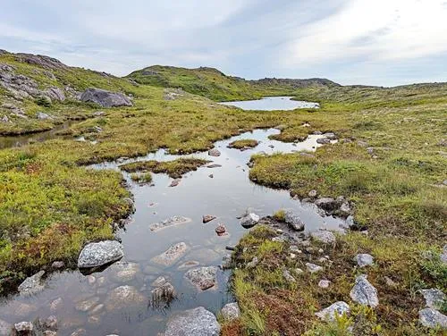 L'Anse-a-Henry in St. Pierre and Miquelon 