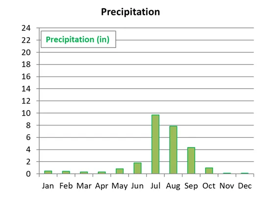 Average monthly precipitation in Agra in India