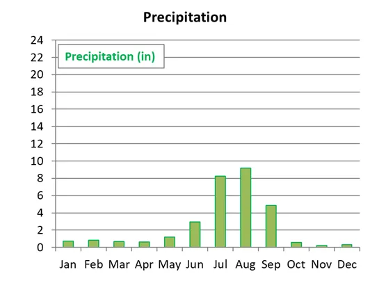 Average monthly precipitation in Delhi in India