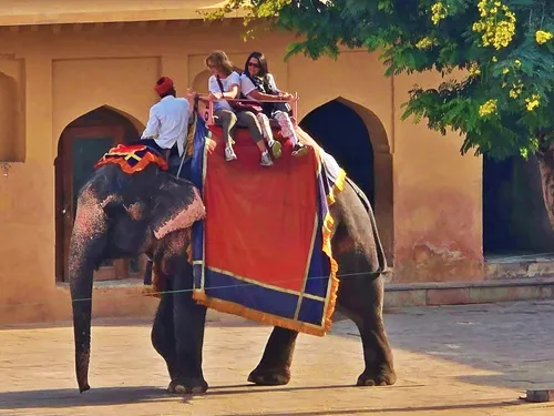 Elephants bringing visitors up to Surajpol dwaar (Sun Gate) in Amber Palace in Jaipur in India