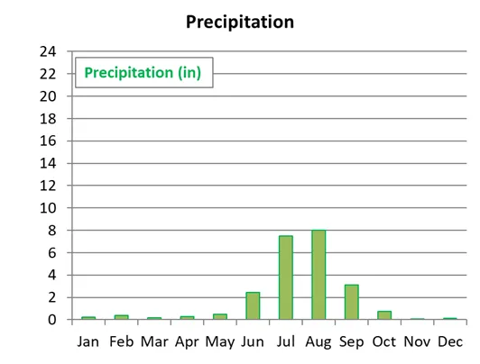 Average monthly precipitation in Jaipur in India