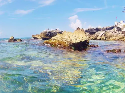 Photos seen when snorkeling in Isla Mujeres