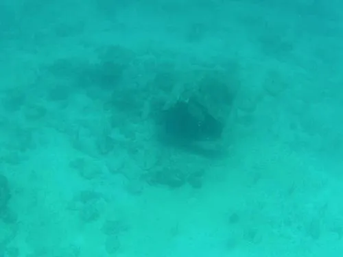 Urban Reef at MUSA near Isla Mujeres