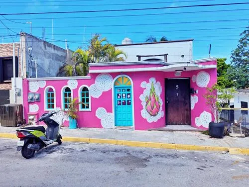 Dragon Fruit House in Isla Mujeres