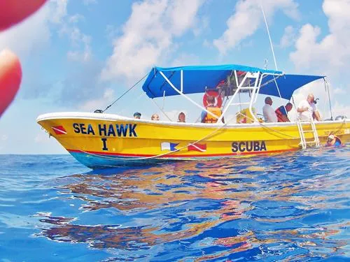 Sea Hawk tour boat for Whale Shark snorkeling near Isla Mujeres