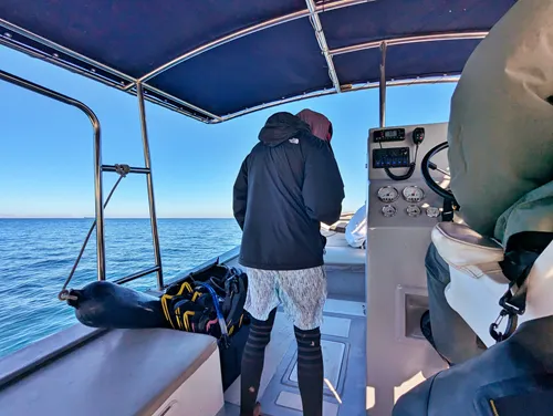 motor boat for the Espiritu Santo tour near La Paz, Mexico