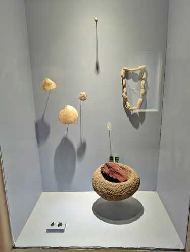 Baja California Sur Regional Museum / Museo Regional de Antropología e Historia de B.C.S in La Paz, Mexico
