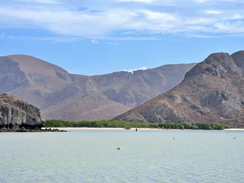 shallow water at Balandra Bay in La Paz, Mexico