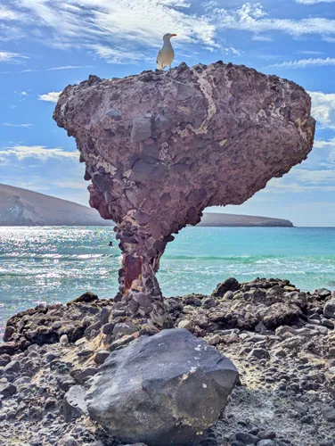 El Hongo / Mushroom Rock at Balandra Beach in La Paz, Mexico