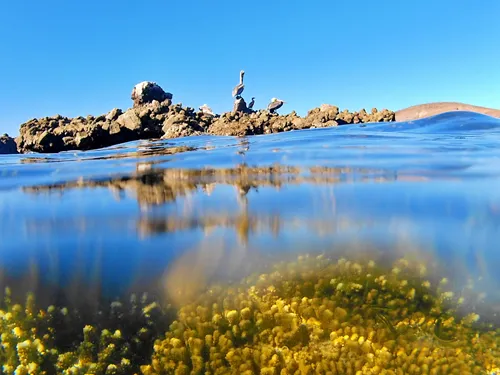Snorkeling at Balandra Beach in La Paz, Mexico