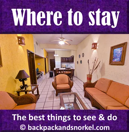 Backpack and Snorkel Travel Guide for La Paz, Mexico - La Paz, Mexico Purple Travel Guide