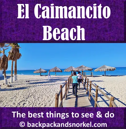 Backpack and Snorkel Travel Guide for La Paz, Mexico - La Paz, Mexico Purple Travel Guide