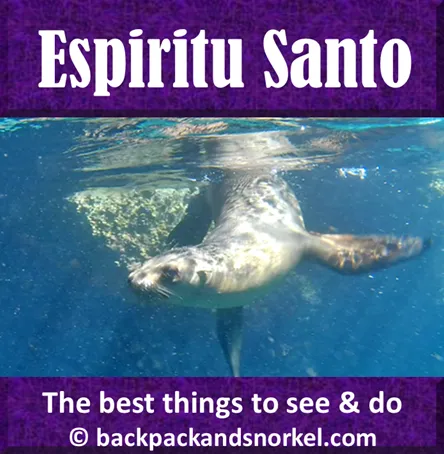 Backpack and Snorkel Travel Guide for La Paz, Mexico - La Paz, Mexico Purple Travel Guide