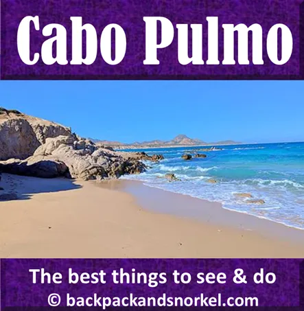 Backpack and Snorkel Travel Guide for Cabo Pulmo - Cabo Pulmo Purple Travel Guide