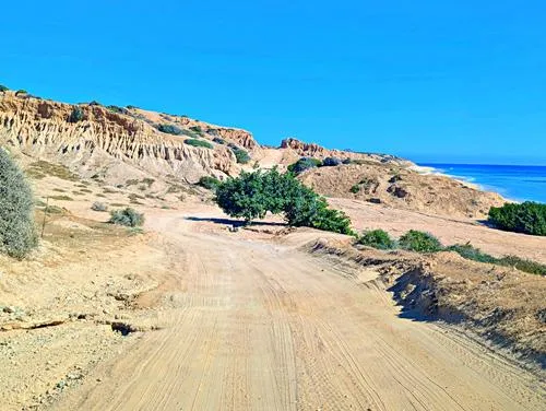 scenery seen on the drive from Los Cabos to Playa El Arbolito near Cabo Pulmo