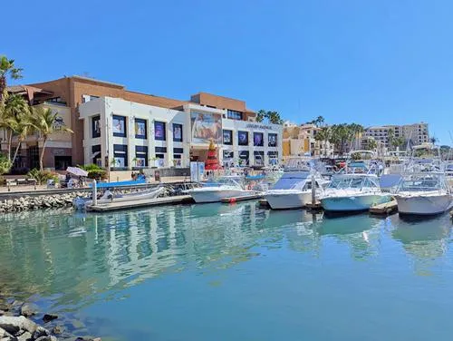 Boats in the Cabo San Lucas Marina