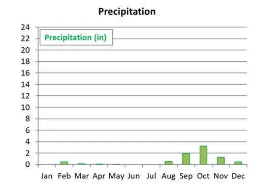 Average monthly precipitation in Cabo San Lucas