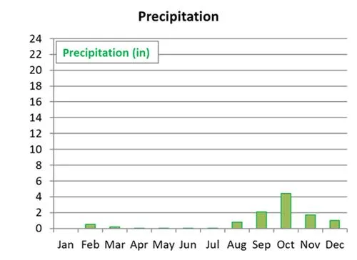 Average monthly precipitation in San Jose del Cabo