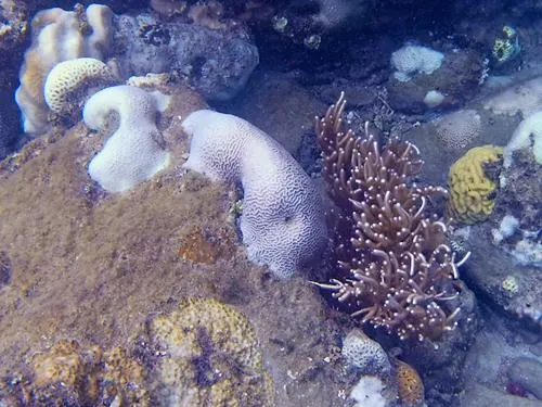Snorkeling at the northern end of Long Beach in the Perhentian Islands in Malaysia