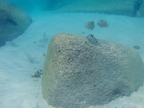 Snorkeling at the southern end of Long Beach in the Perhentian Islands in Malaysia