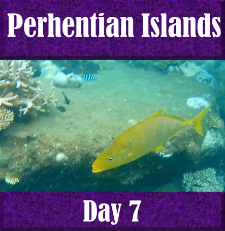 Day 7 Itinerary in the Backpack and Snorkel Travel Guide for Malaysia - Malaysia Purple Travel Guide