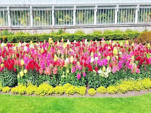 Botanic Gardens in Belfast in Northern Ireland