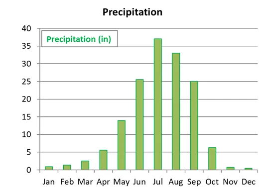 Average monthly precipitation by month in Pokhara