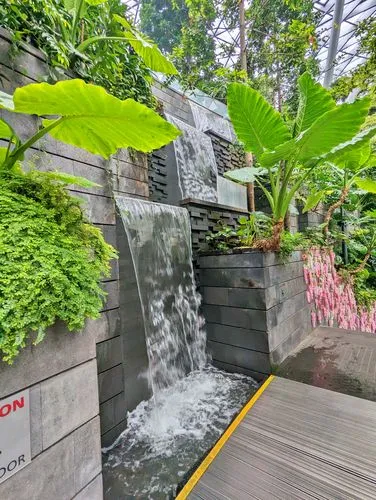 Changi Airport: Shiseido Forest Valley at Jewel in Singapore