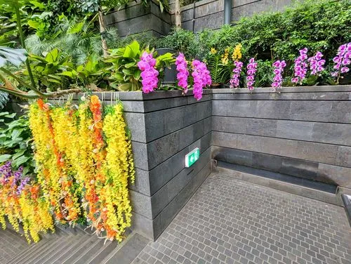 Changi Airport: Shiseido Forest Valley at Jewel in Singapore