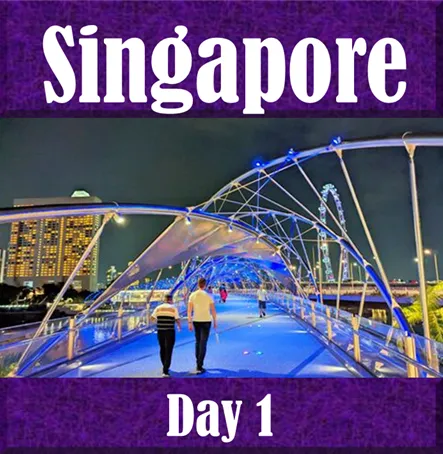 Day 1 Itinerary in the Backpack and Snorkel Travel Guide for Singapore - Singapore Purple Travel Guide