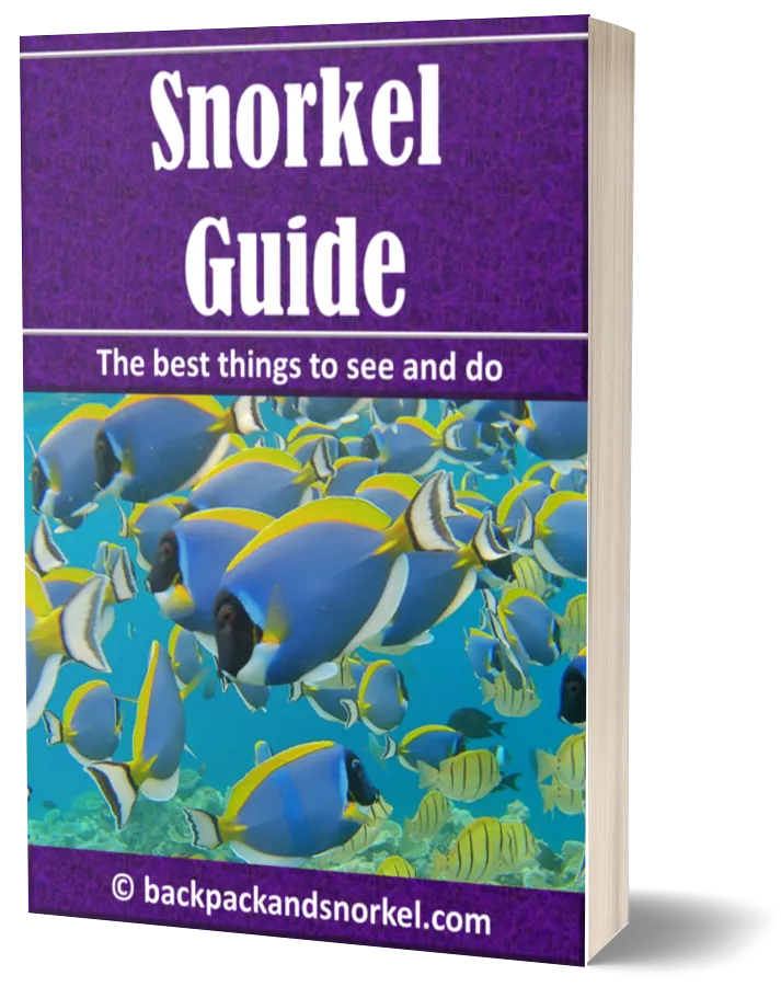 Snorkel Guide