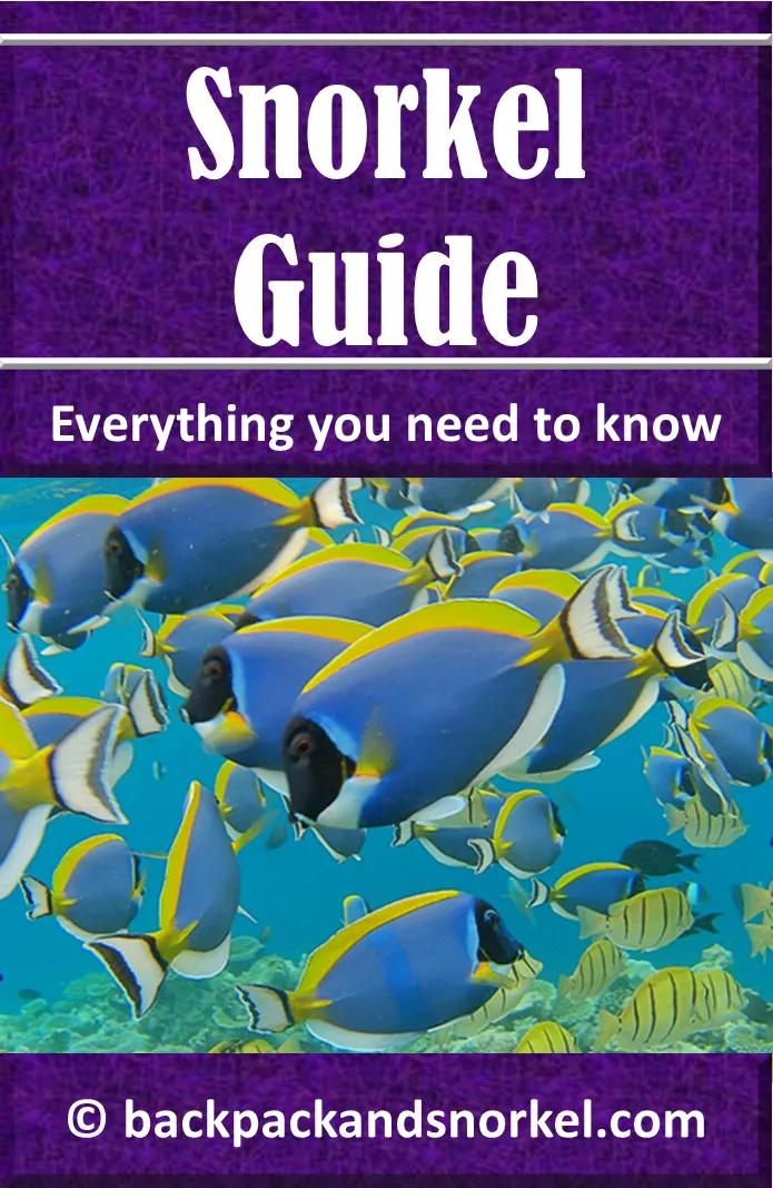 Backpack and Snorkel Travel Snorkel Guide - Snorkeling Purple Travel Guide