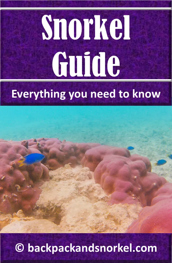 Snorkel Guide - Snorkeling Purple Travel Guide